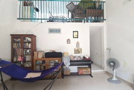 Hiếm Bán Nhà 2 Tầng 54m2_5*11 Chỉ 4.2 tỷ Gần Phạm Văn Đồng Hiệp Bình Chánh Thủ Đức